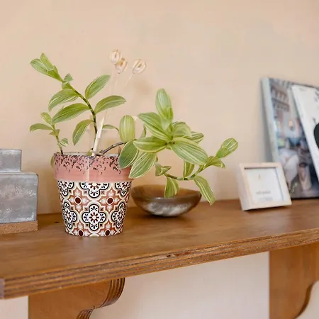 La Libellula Monferrato *